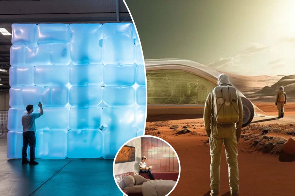 NASA's Wild Plan to Grow Mushroom Homes on the Moon